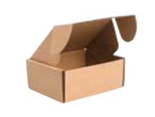 Mailer Box